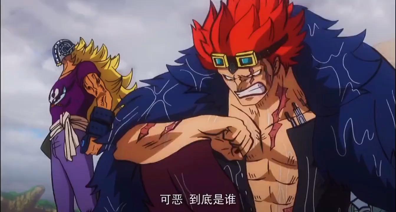 海贼王小弟的结拜酒5600人的草帽大船团成立