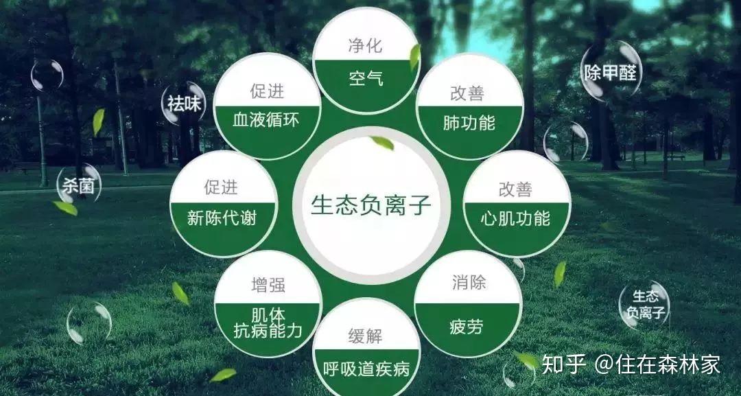 森林家负氧离子壁纸能够在室内环境下无源长效释放负氧离子,浓度达到