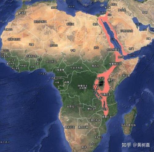 基因分析中国古代人口_传承红色基因手抄报(2)