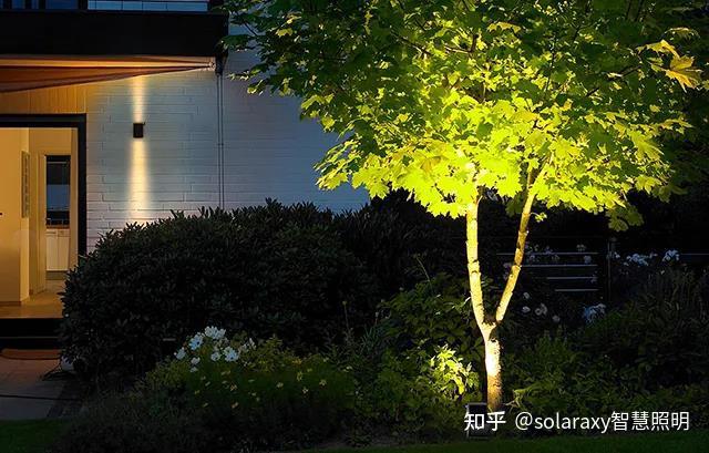 园林景观照明 照树灯如何安装更有利于呈现树木特点?