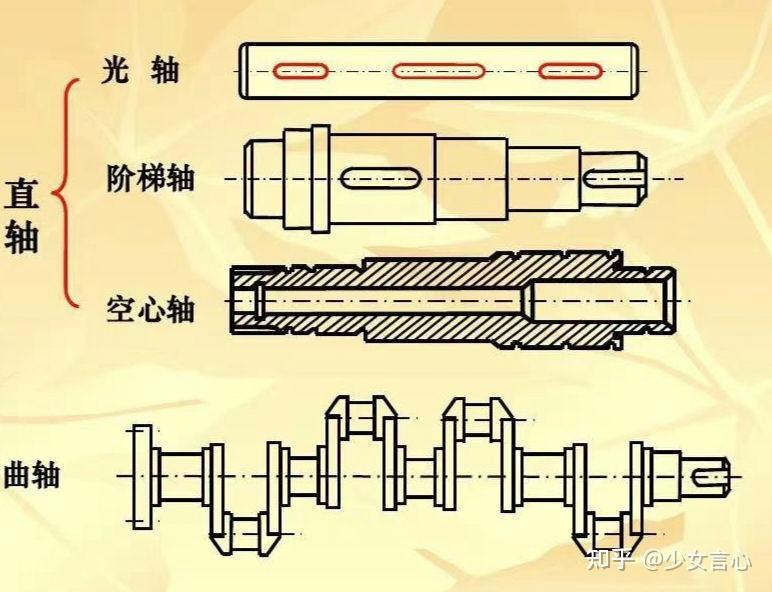 轴的结构简图图片