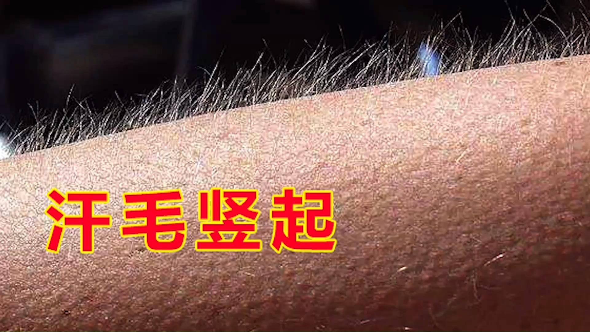 这个女人演的角色能让你的汗毛不自觉直立起来