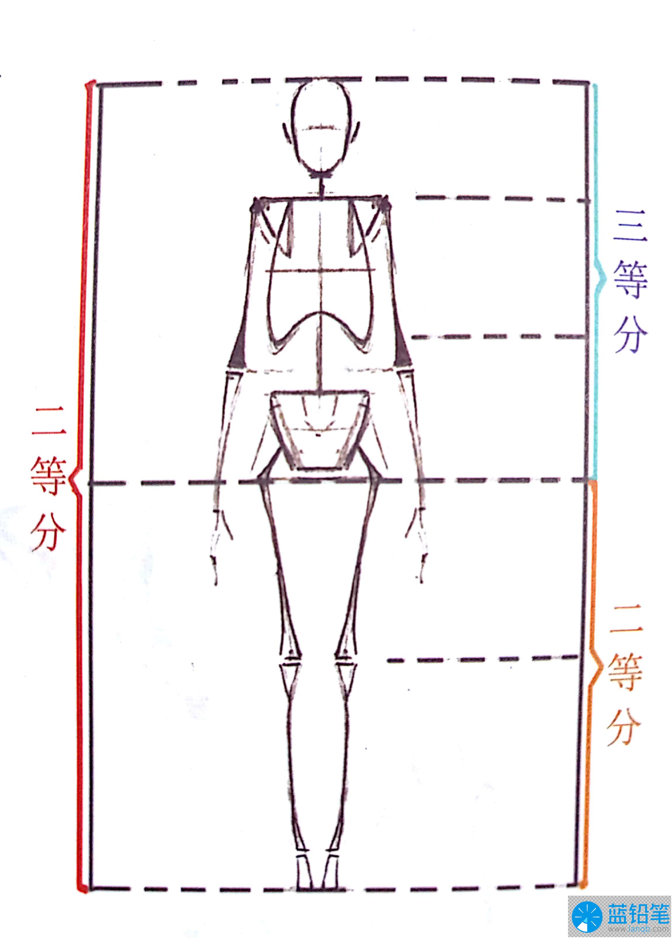 怎么画好人体比例图片