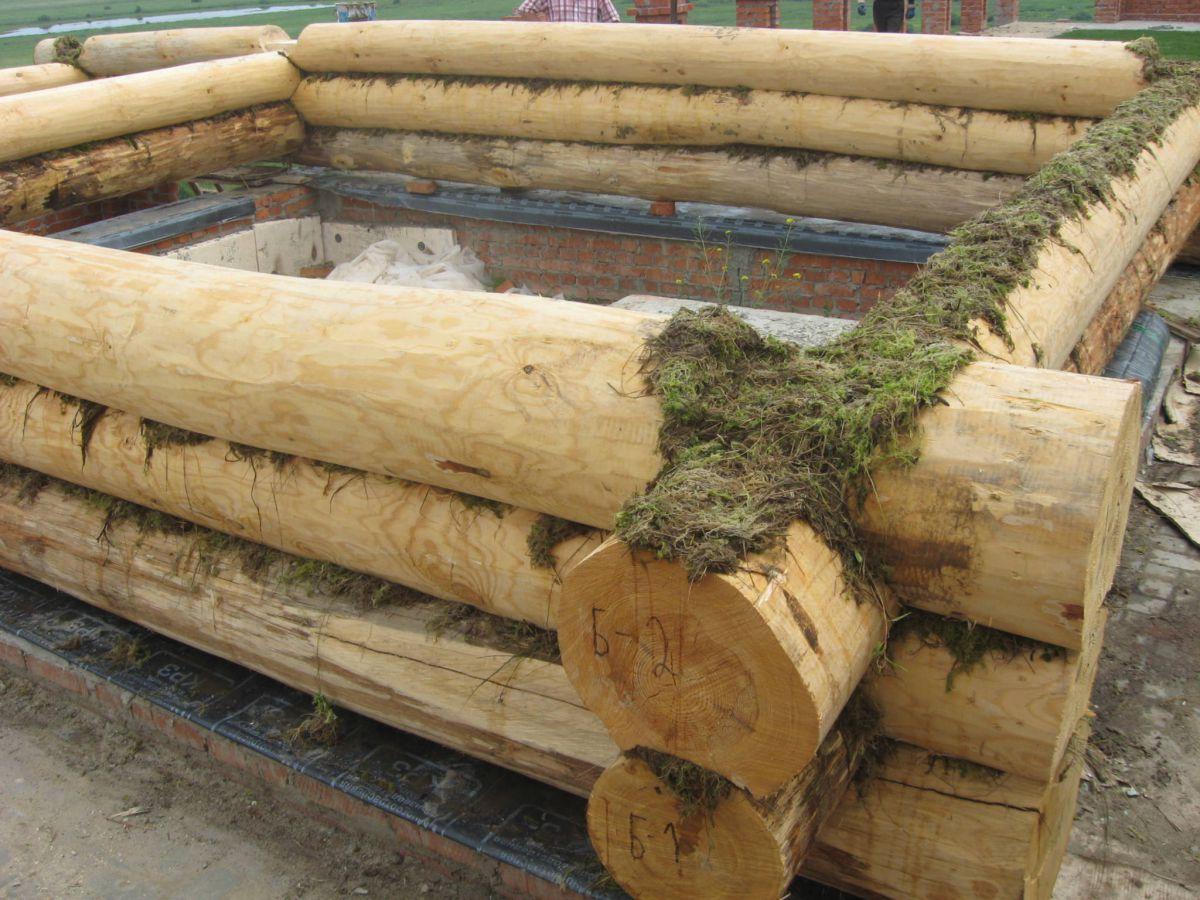 如果你去观察我们传统的"井干式"木结构房屋,就会发现早期的原木房屋