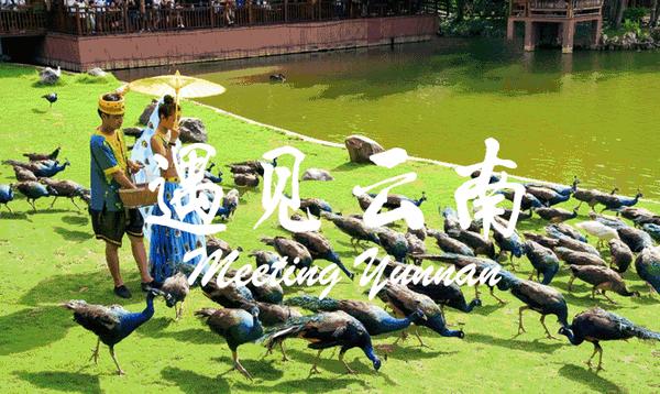 六月份外地去昆明下飞机要被隔离吗去云南旅游一周大概要多少钱