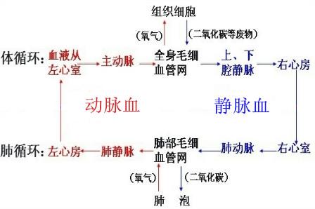 人为什么会得高血压 知乎