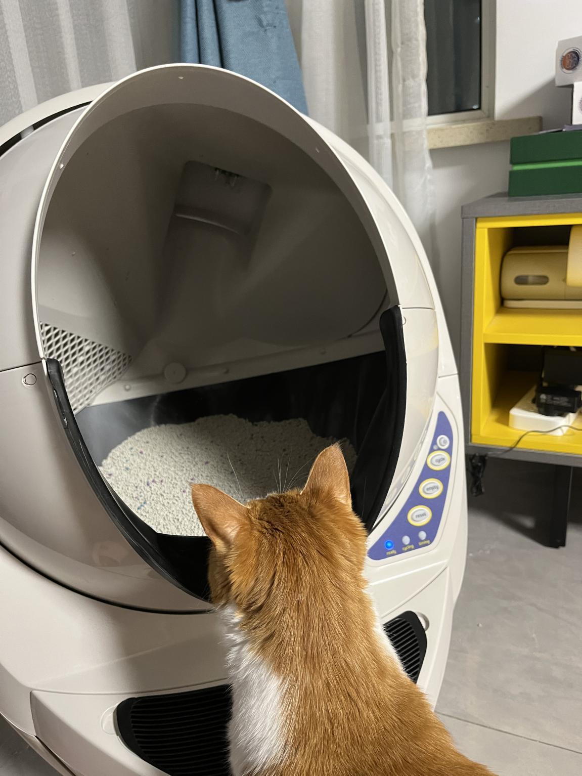 超级大litterrobot全自动猫砂盆测评
