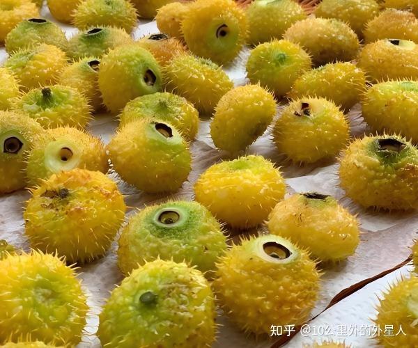 贵州刺梨汁:从山野珍果到国民饮品的逆袭之路 - 知乎