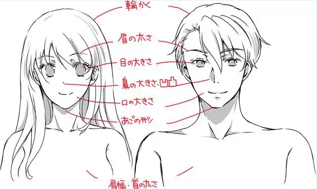 雌雄莫辩绘画人物脸部到底注意什么