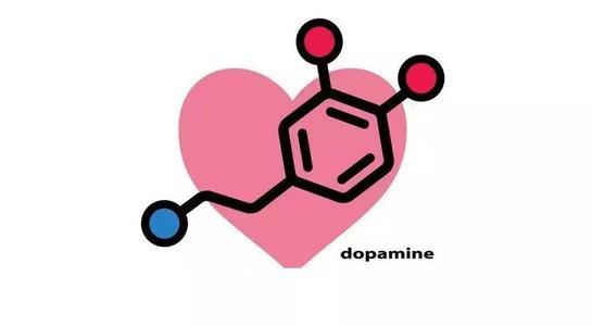 多巴胺不仅仅与爱情有关