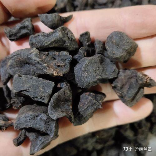 制何首乌和何首乌有什么区别? - 知乎