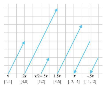 图形学数学基础——向量Vectors - 知乎