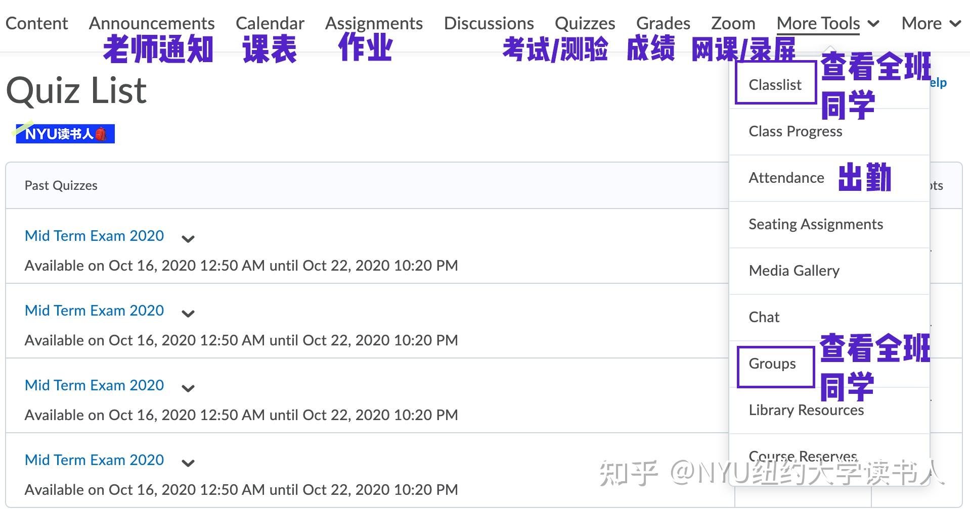  nyu classes brightspace 