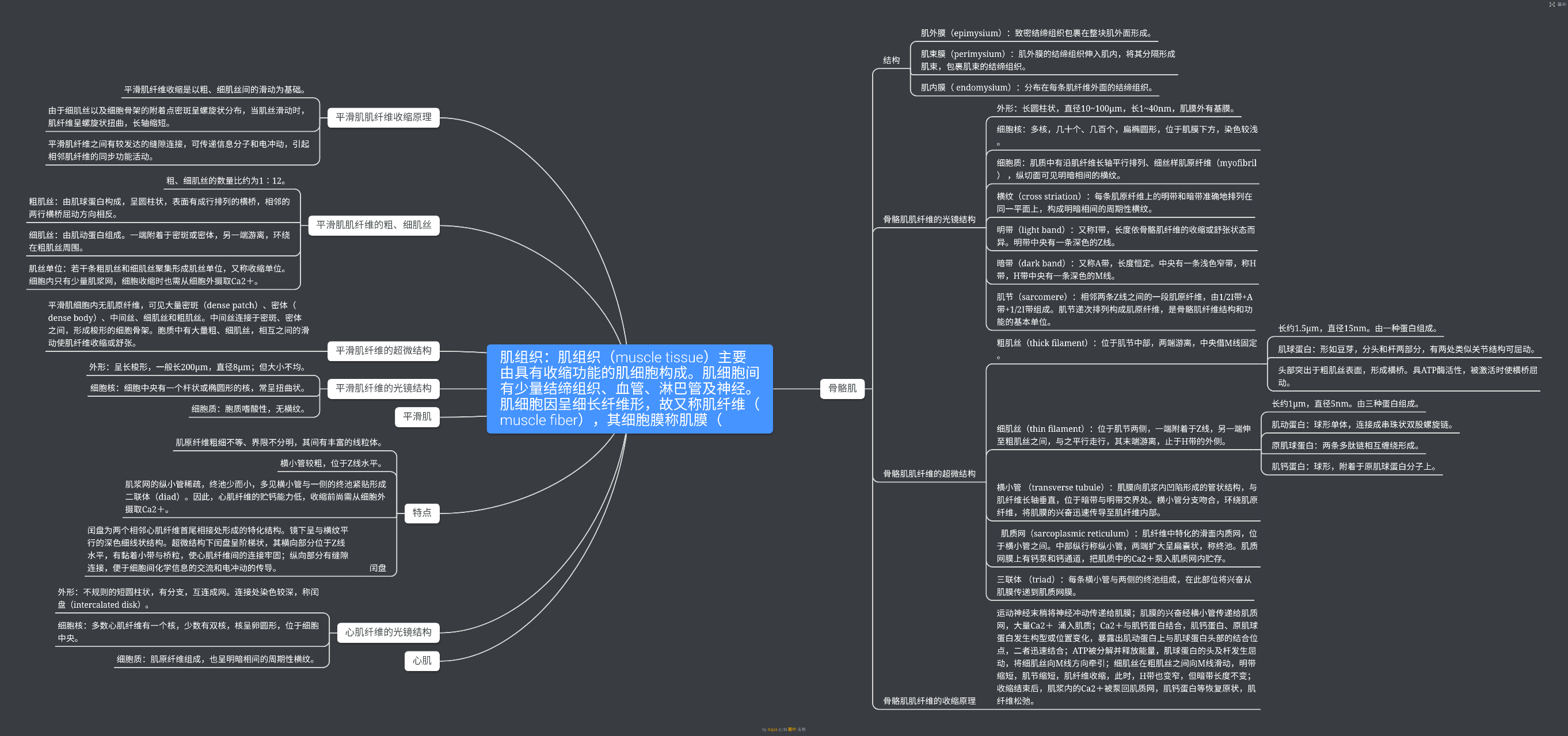 肌组织的思维导图