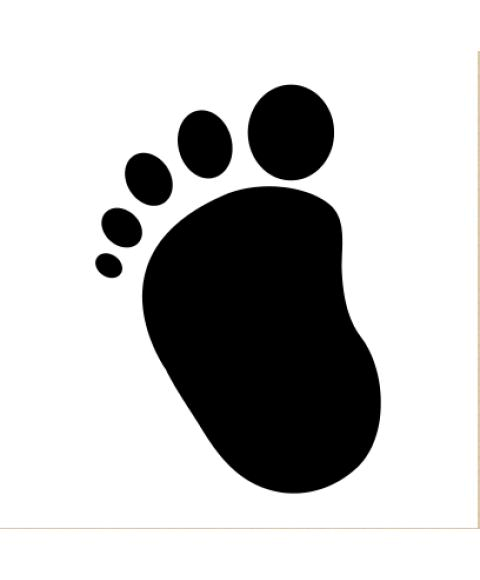 为什么婴儿喜欢看黑白卡