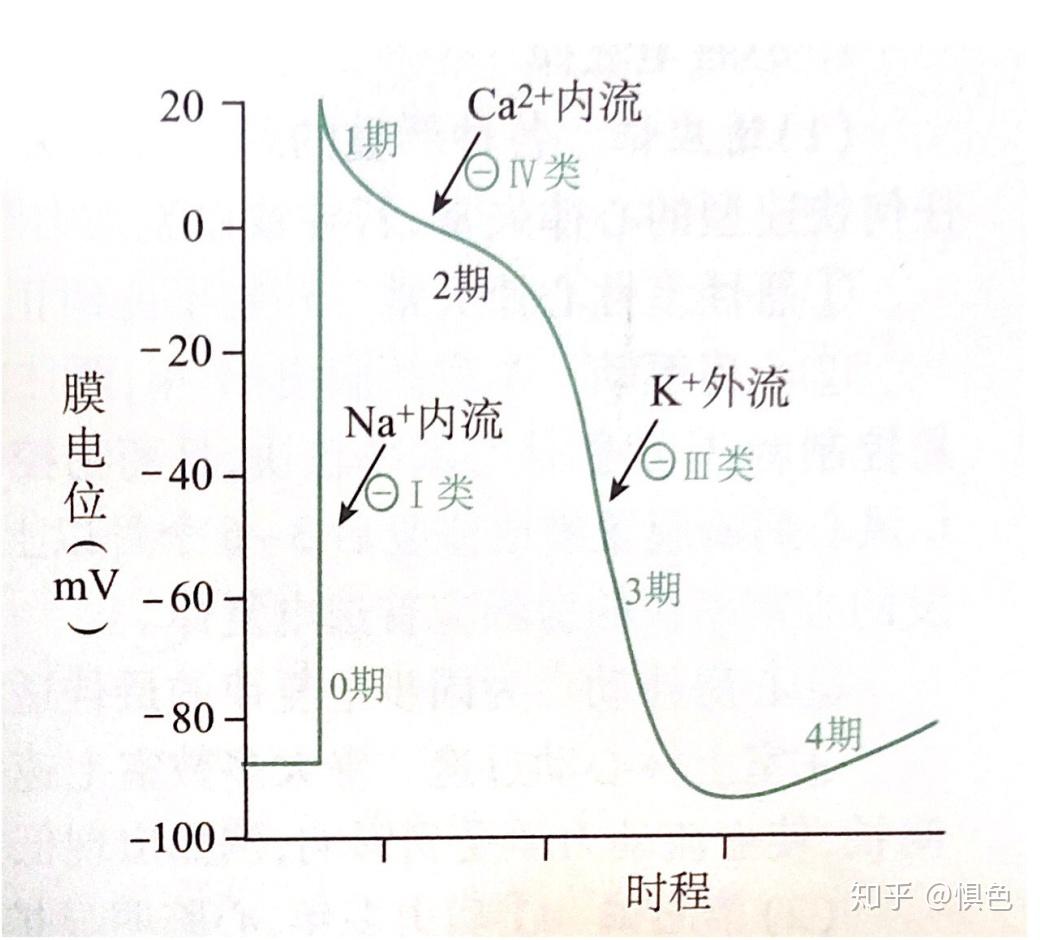 抗快速心律失常药物