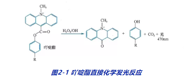 1,直接化學發光免疫分析是用化學發光劑(如吖啶酯)直接標記抗體(抗原)