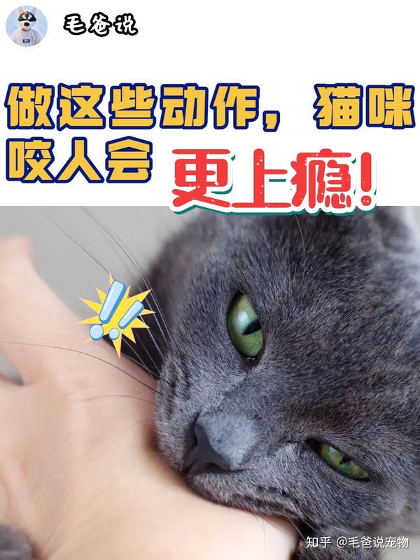 如果做这些动作，猫咪咬人会更上瘾? - 知乎