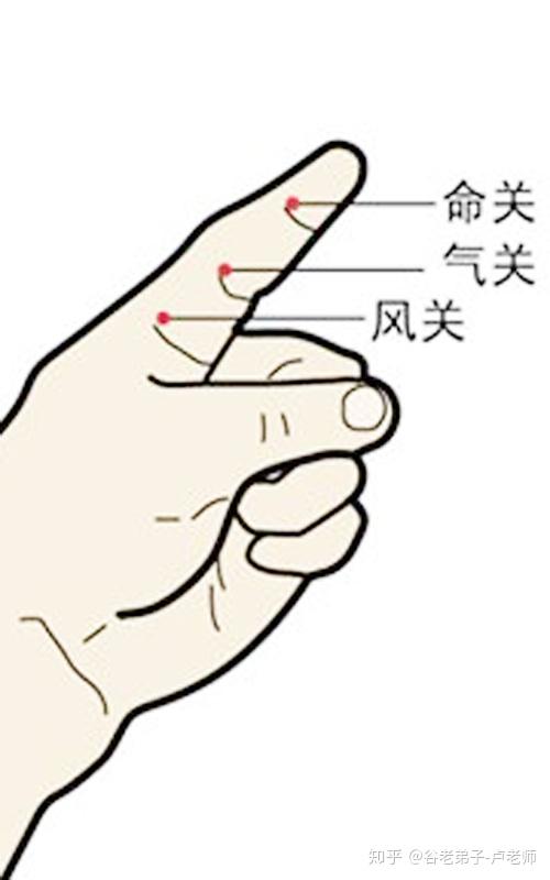 虎口三关次指三节风气命