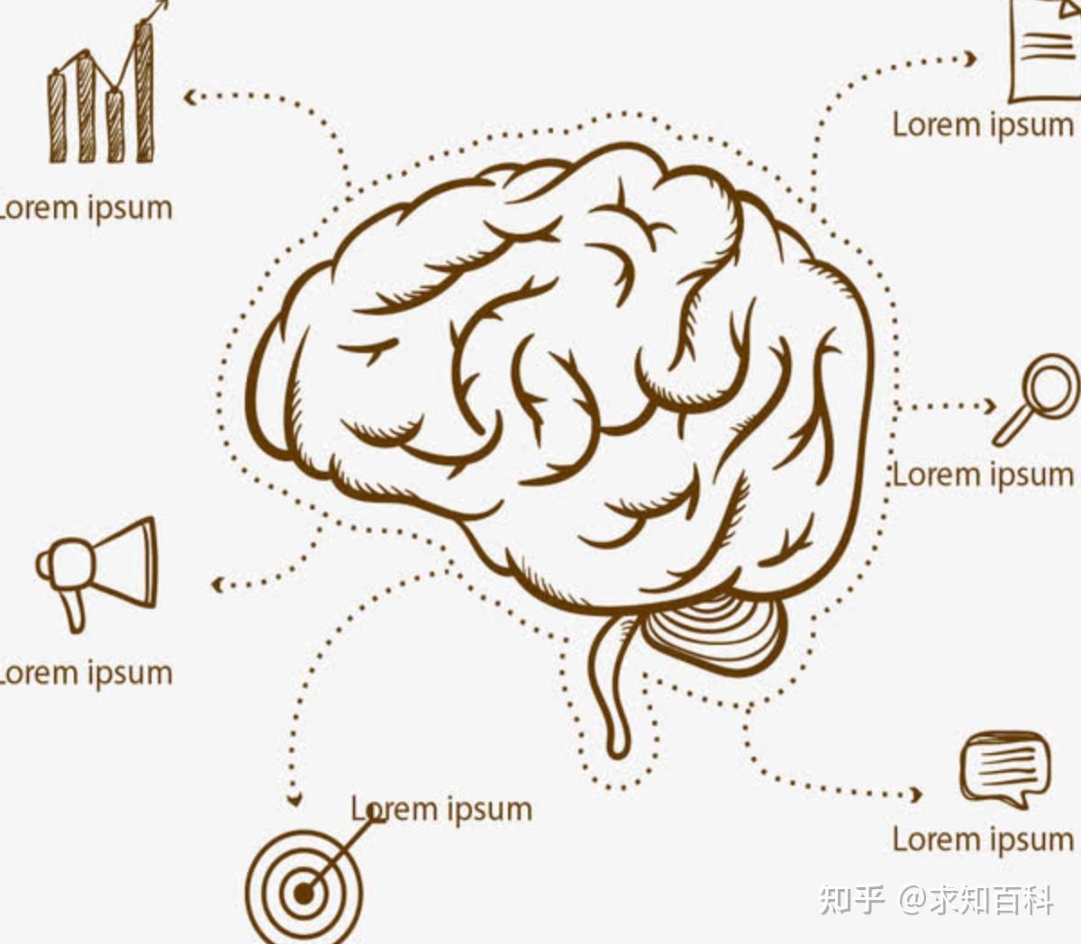 你想过没有:一些近乎本能的反应谁在控制?大脑的存在有何意义? - 知乎