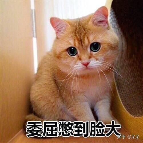 从什么时候开始发现自己其实是个普通人?