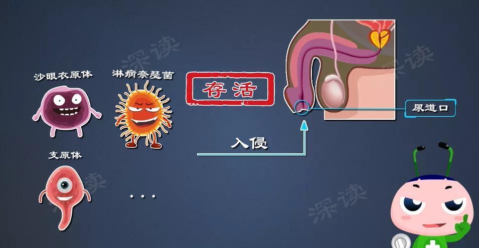 穿錯內褲會蛋疼睪丸炎是因私生活亂睪丸炎預防招數大放送