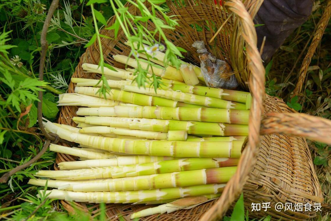 中国,哪的“竹笋”最好吃?经评选,这10个地方上榜,有你家乡吗 - 知乎