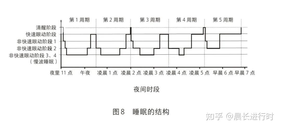 而一个睡眠周期内的睡眠类型,包括nrem睡眠(非快速眼动睡眠)和rem睡眠