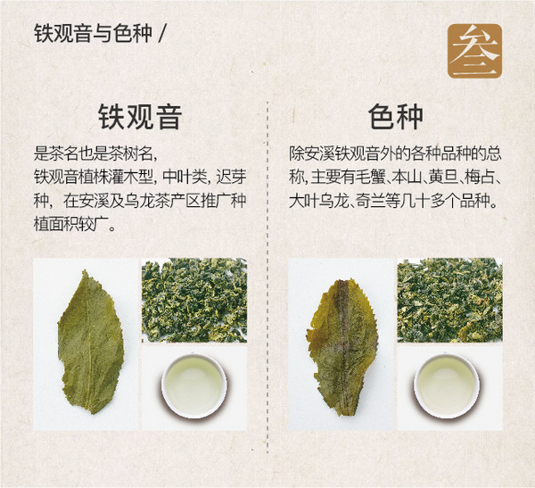 不懂茶应该怎么买茶？  第49张