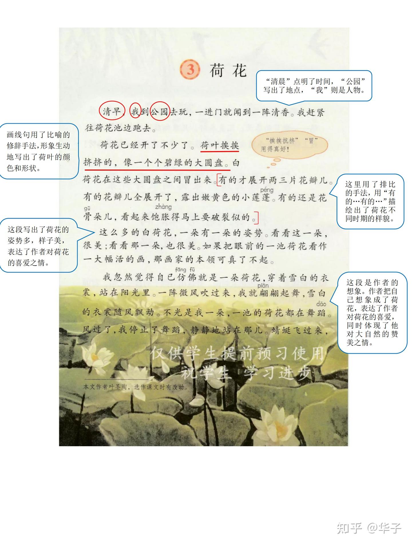 部编版三年级语文下册《荷花》(瓣组词-蓬组词-胀组词-裂组词-姿组词-势组词-仿组词-佛组词-随组词-蹈组词-止组词) - 知乎