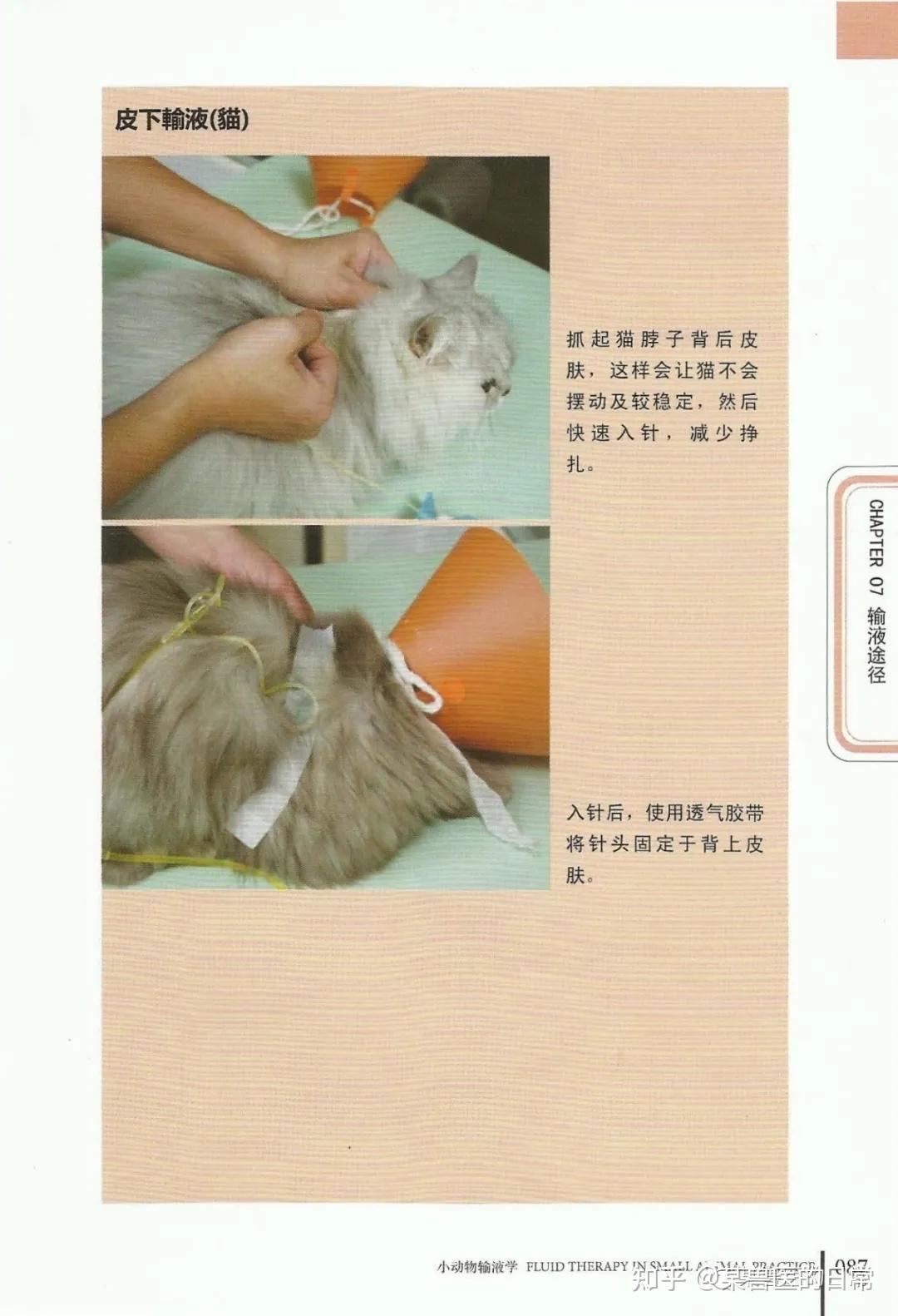 宠物专用输液泵HepoVET VI1_东莞恒丰医疗科技有限公司