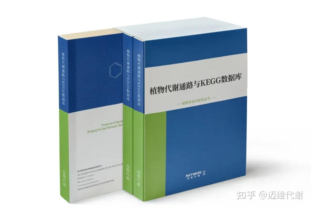 Cell | 中科院王佳伟团队绘制首个维管植物单细胞图谱 - 知乎