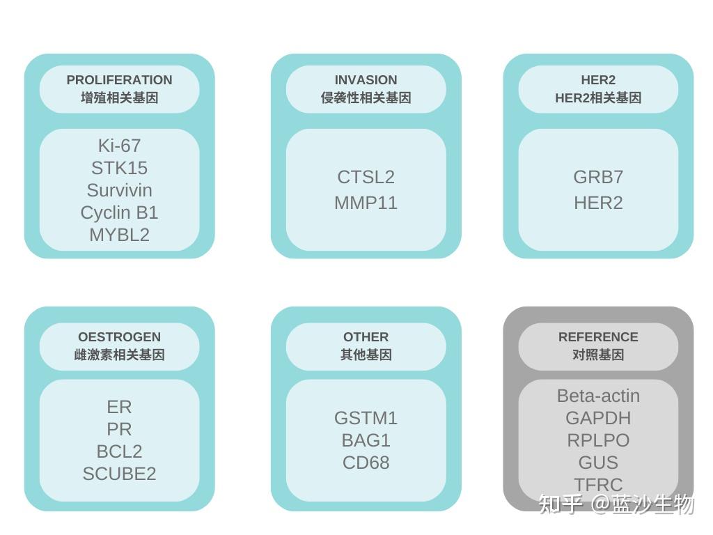 乳腺癌基因檢測問答你想知道的都在這