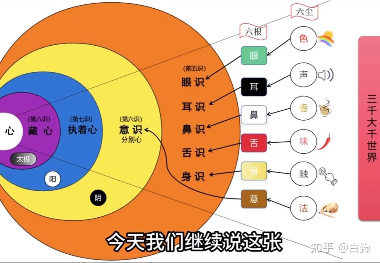 八识四分关系图图片