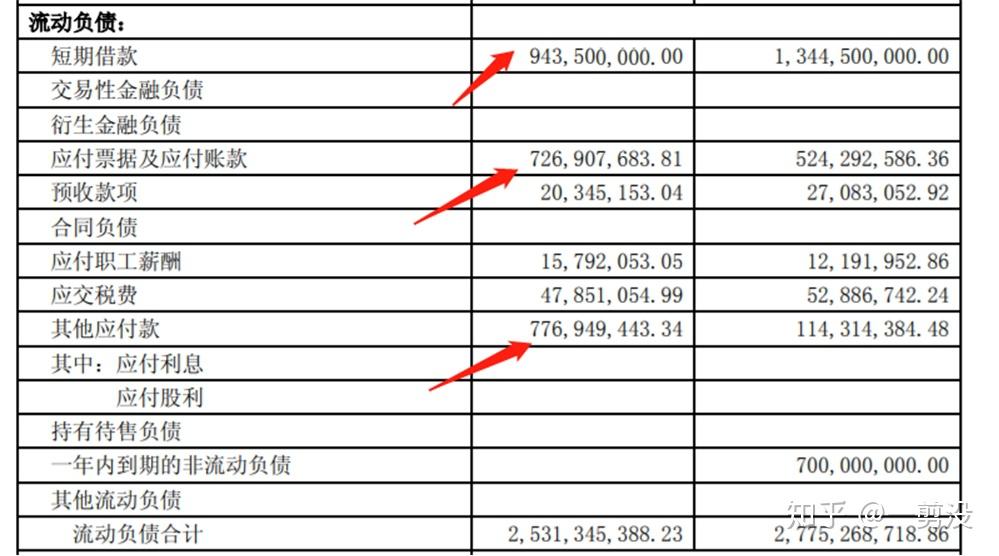 指标怪咖:净资产收益率很高,总资产收益率很低,借钱度日,借壳上市