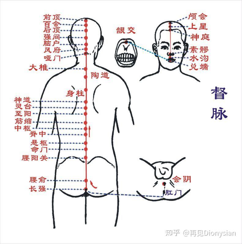 打通阴跷脉图片