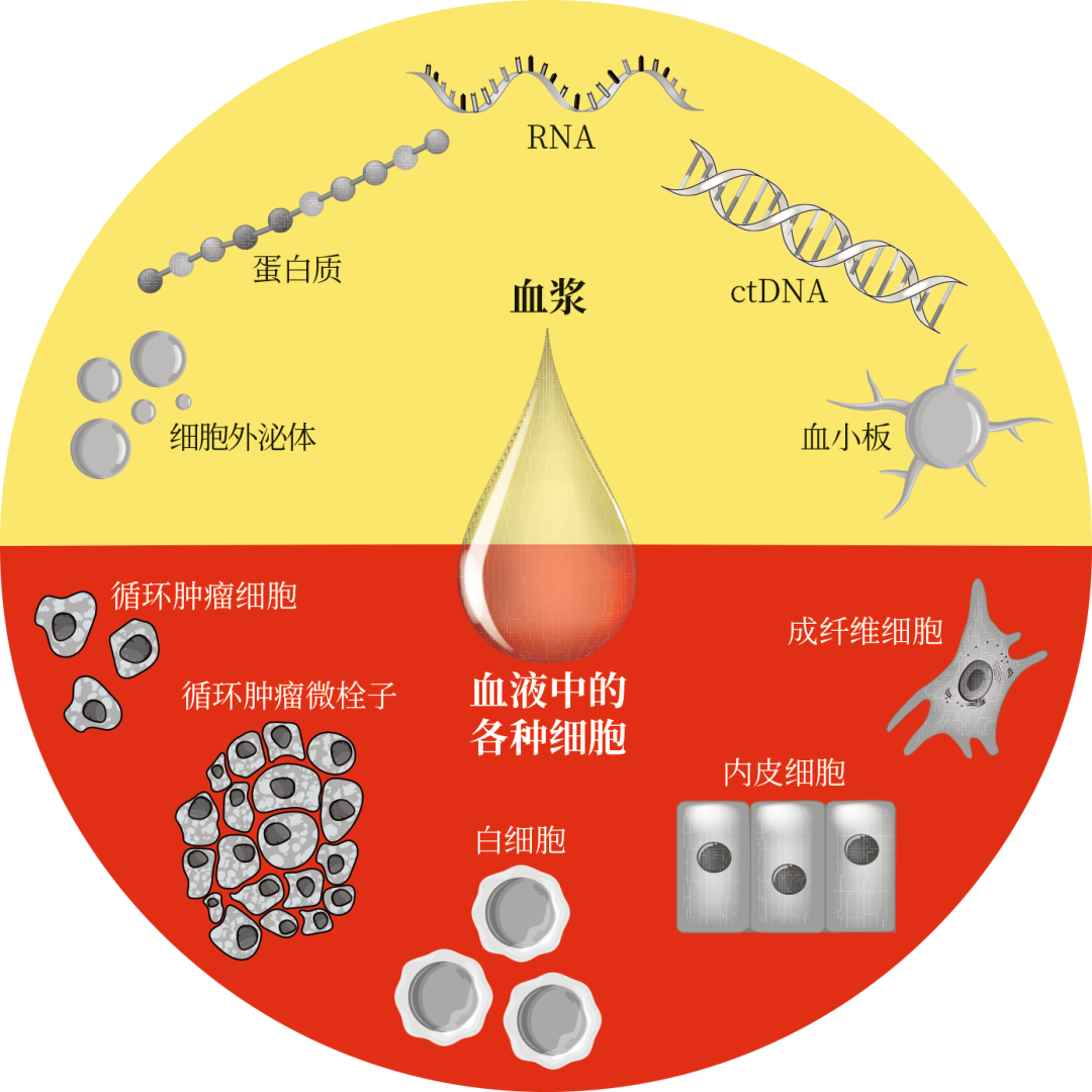 99%的癌症死亡都是由於這類腫瘤,如今科學家終於能