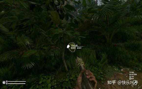 green hell《绿色地狱》主要植物及食用效果(新手向)