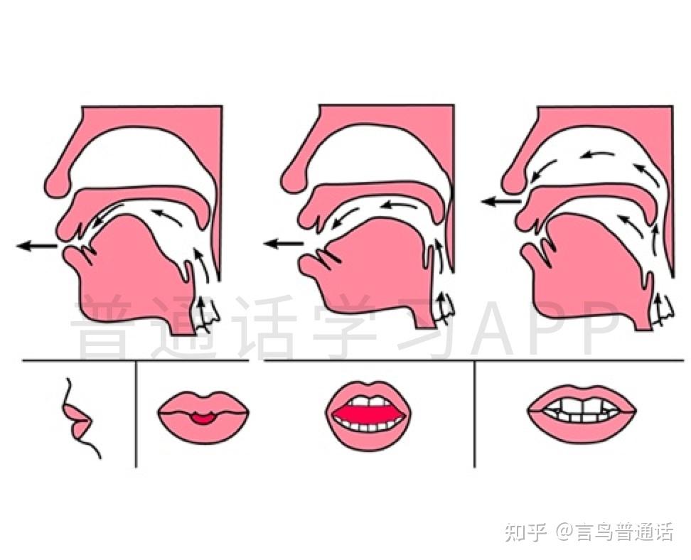 韵母篇 | 前后鼻音不分，怎么办？5步帮你纠音 - 知乎