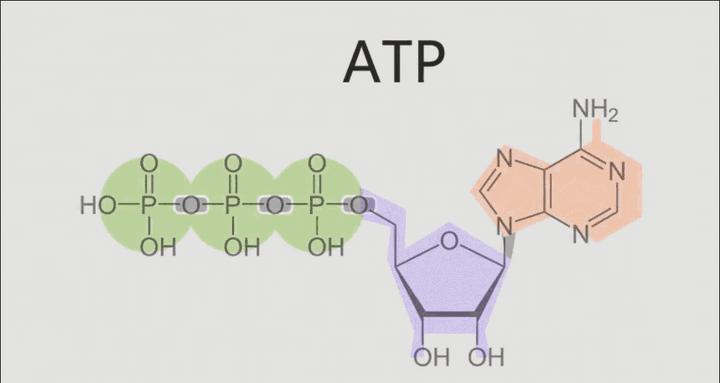 关于咖啡你想知道的都在这儿