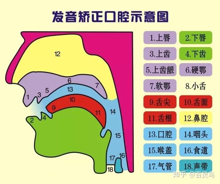家长怎么帮助听障儿童发音? - 知乎