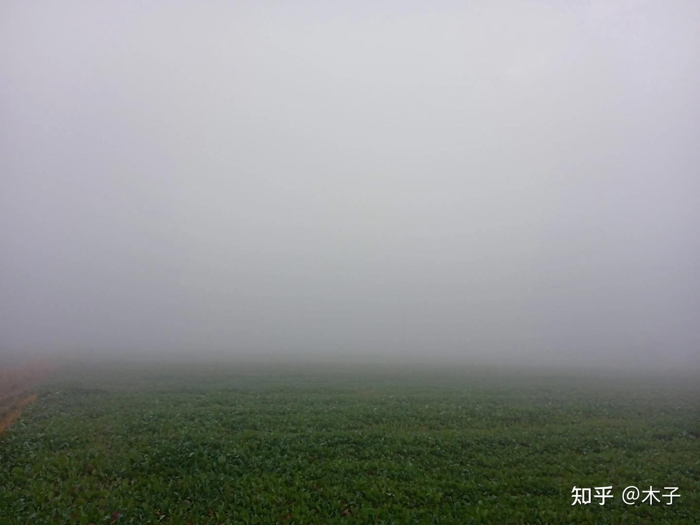 在不同的场景，雾给人的感觉不同 - 知乎