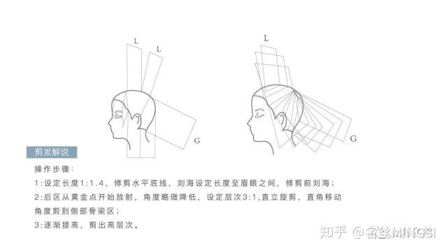 剪发结构裁剪图造型前后对比图本着"授人以鱼不如授人以渔"的原则