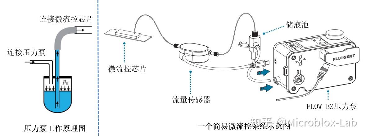 干货-什么是微流控系统? | 微纳立方科技 - 知乎