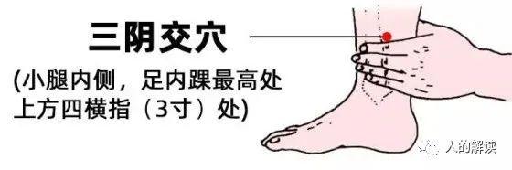 脾经是女性的守护神,如何保健? - 知乎