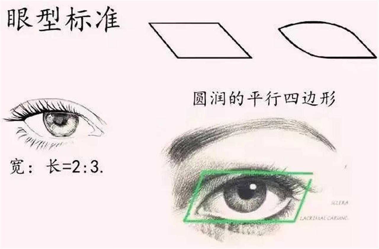 常见的8种眼型揭秘，最好看的是这三种，看看有你吗？_眼睛