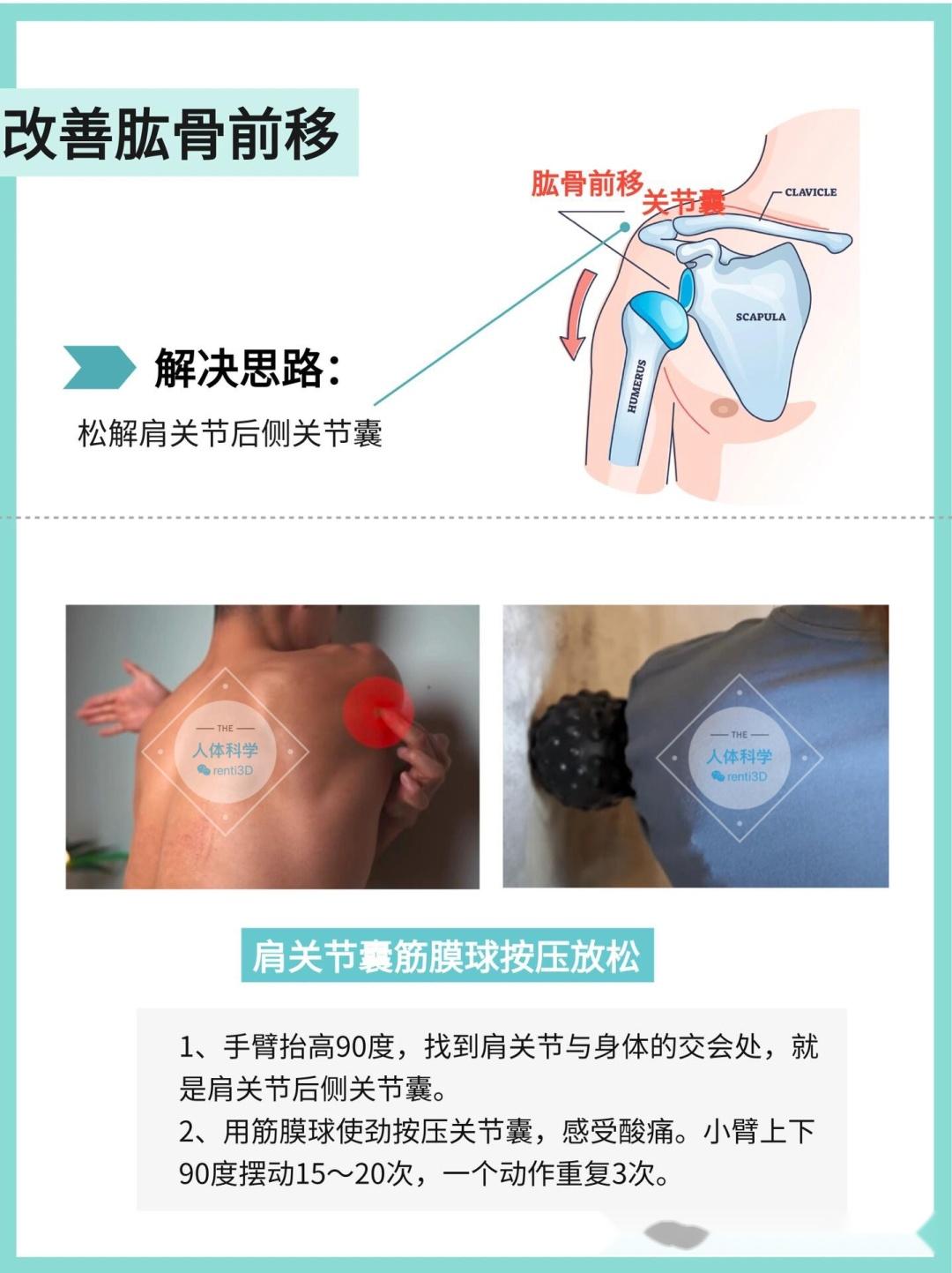 【肱骨前移】原理自测、解决思路、矫正训练 - 知乎