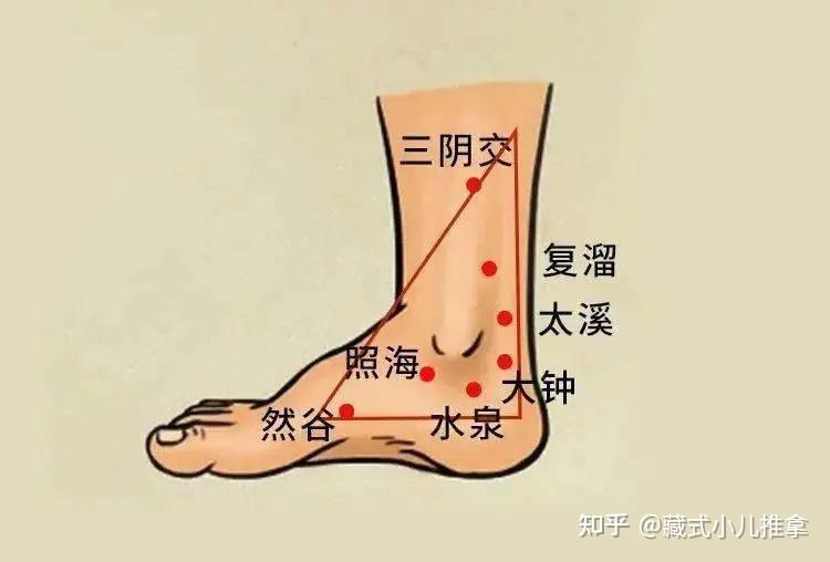 复溜穴 - 知乎