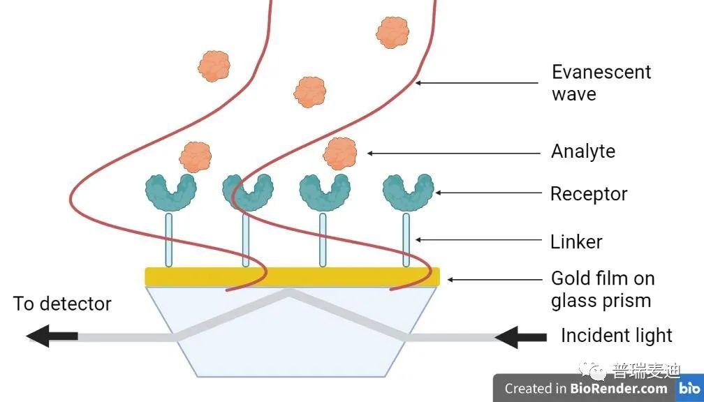 经典SPR技术：生物传感检测的最佳选择 - 知乎