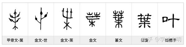 叶——每日一字·艸部字 - 知乎